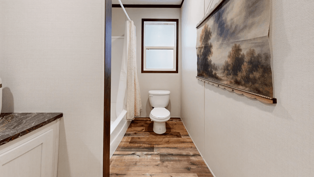Mountain view bathroom home features